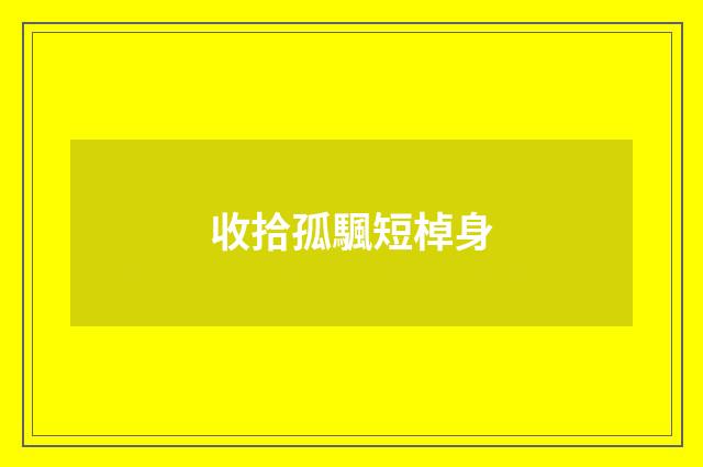 收拾孤颿短棹身