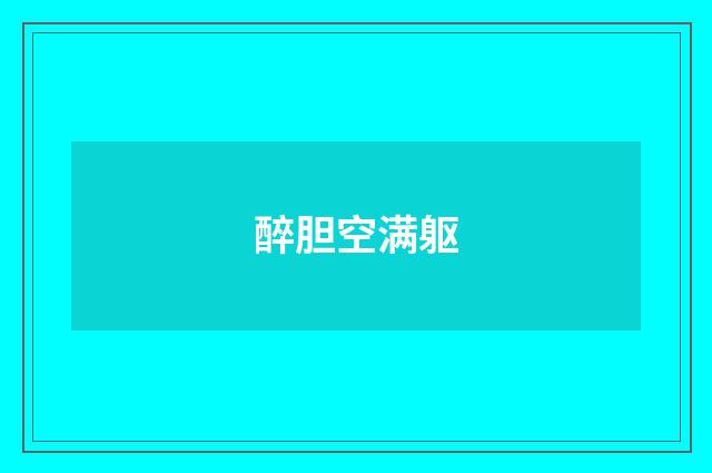 醉胆空满躯