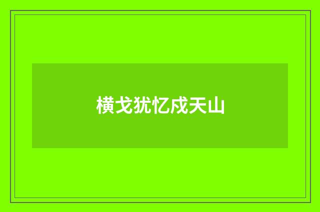 横戈犹忆戍天山