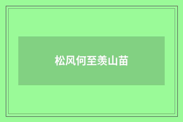 松风何至羡山苗