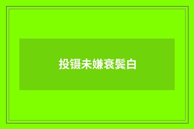 投镊未嫌衰鬓白
