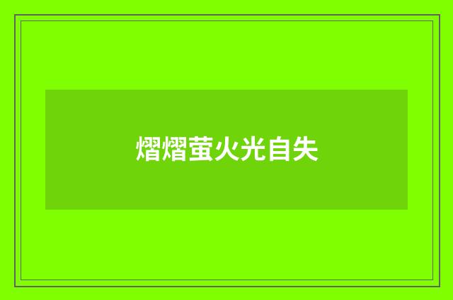 熠熠萤火光自失