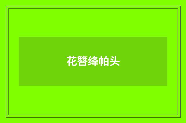 花簪绛帕头