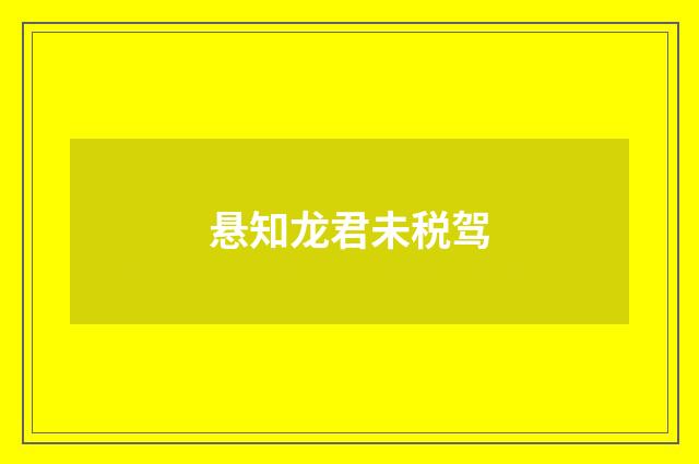 悬知龙君未税驾