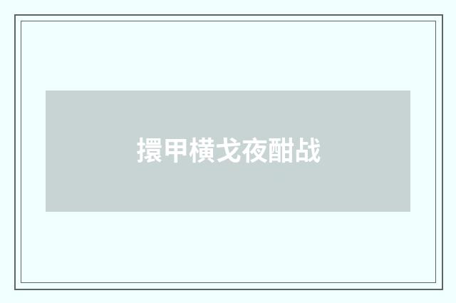 擐甲横戈夜酣战