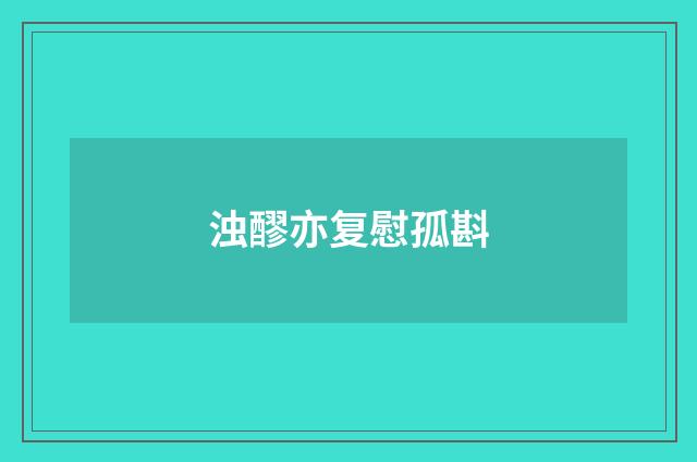 浊醪亦复慰孤斟