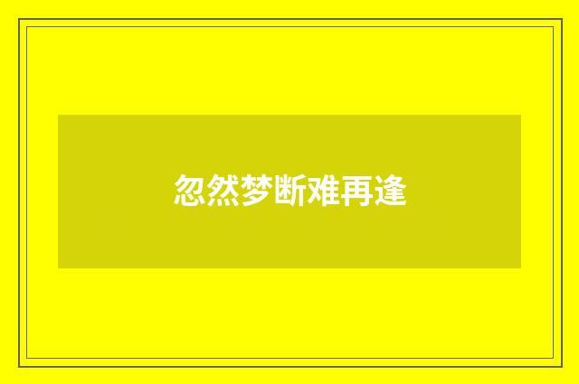 忽然梦断难再逢