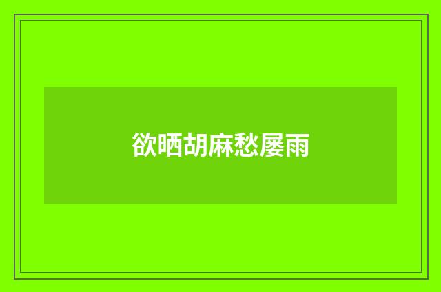 欲晒胡麻愁屡雨