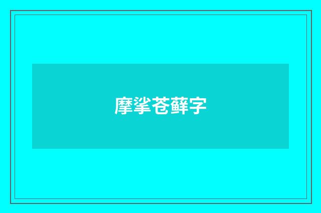 摩挲苍藓字