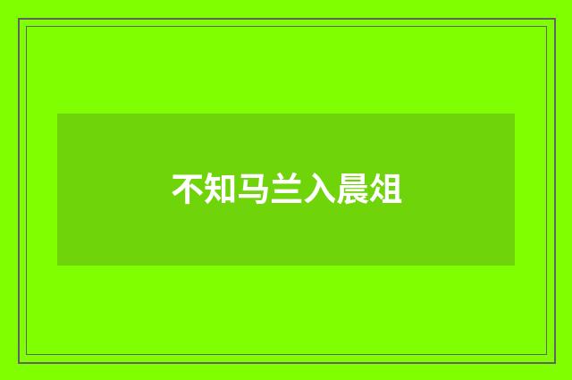 不知马兰入晨俎