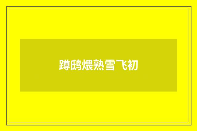 蹲鸱煨熟雪飞初