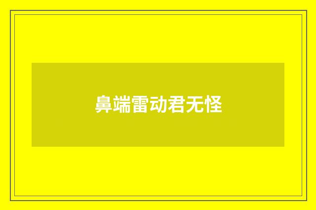 鼻端雷动君无怪