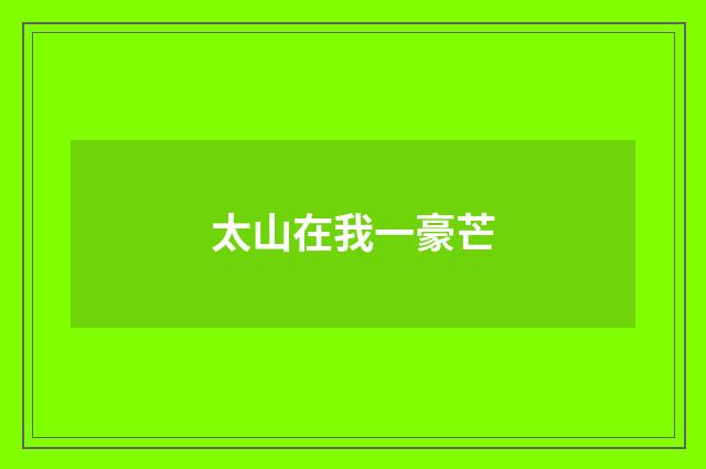 太山在我一豪芒