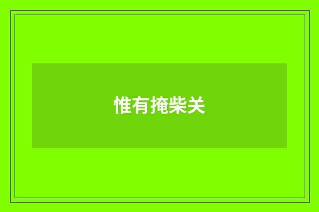 惟有掩柴关