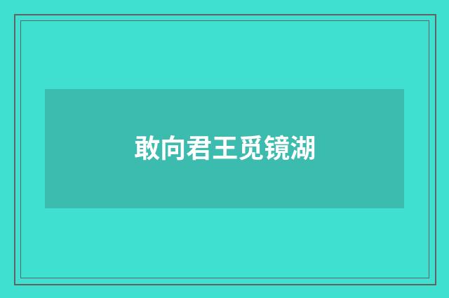 敢向君王觅镜湖