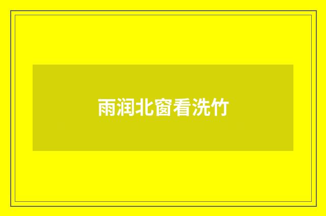 雨润北窗看洗竹