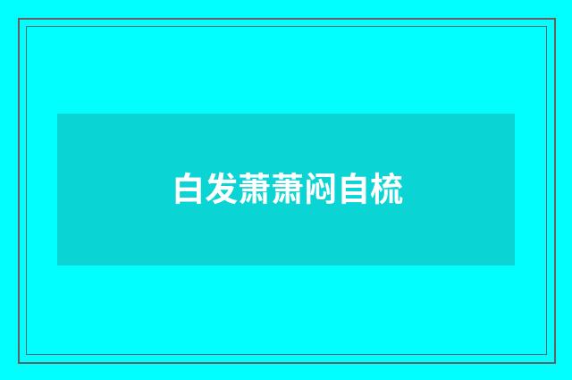 白发萧萧闷自梳