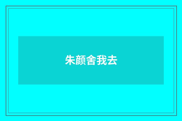 朱颜舍我去