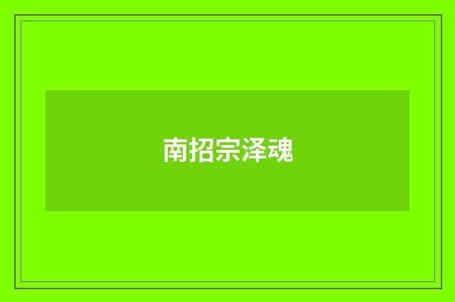 南招宗泽魂