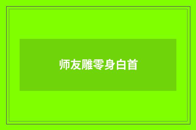 师友雕零身白首