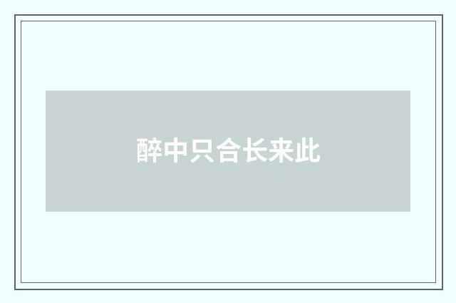 醉中只合长来此