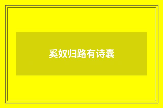 奚奴归路有诗囊