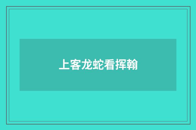 上客龙蛇看挥翰