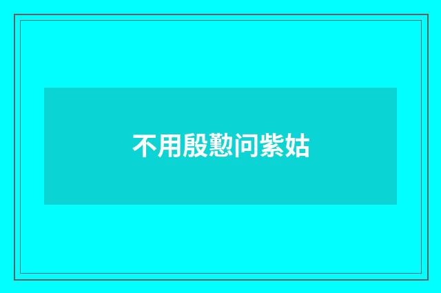 不用殷懃问紫姑