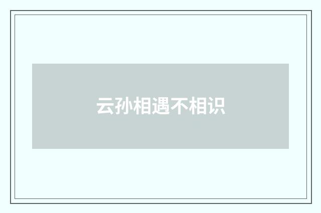 云孙相遇不相识