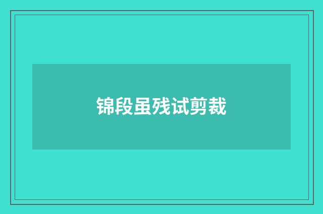 锦段虽残试剪裁