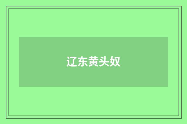 辽东黄头奴