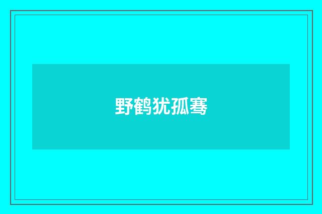 野鹤犹孤骞
