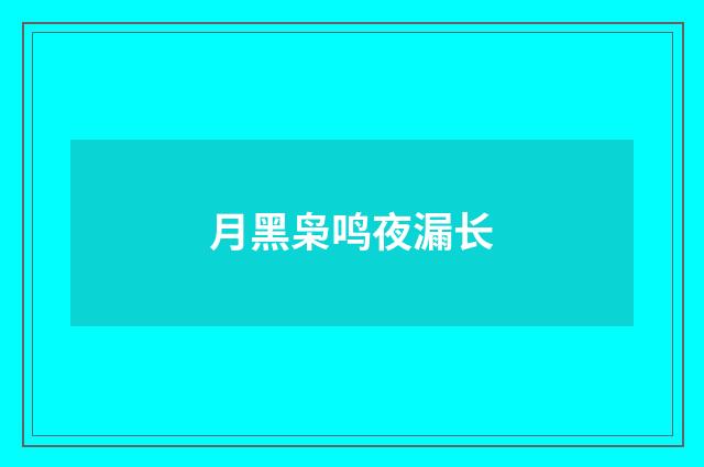 月黑枭鸣夜漏长