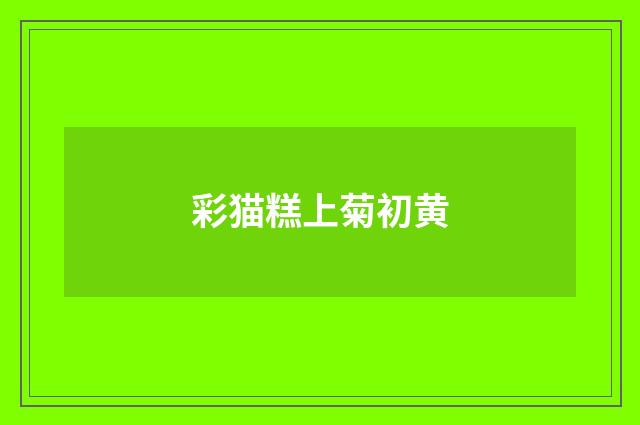 彩猫糕上菊初黄