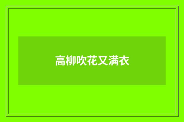 高柳吹花又满衣
