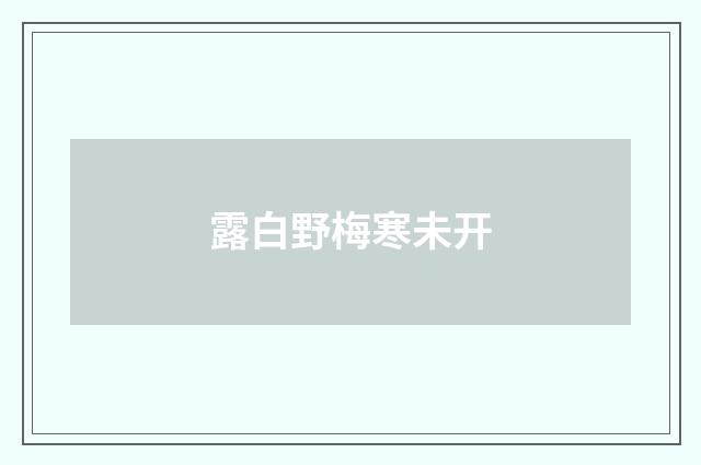 露白野梅寒未开
