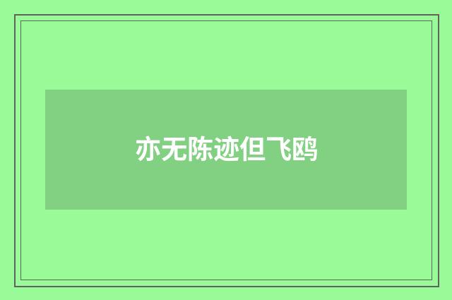 亦无陈迹但飞鸥