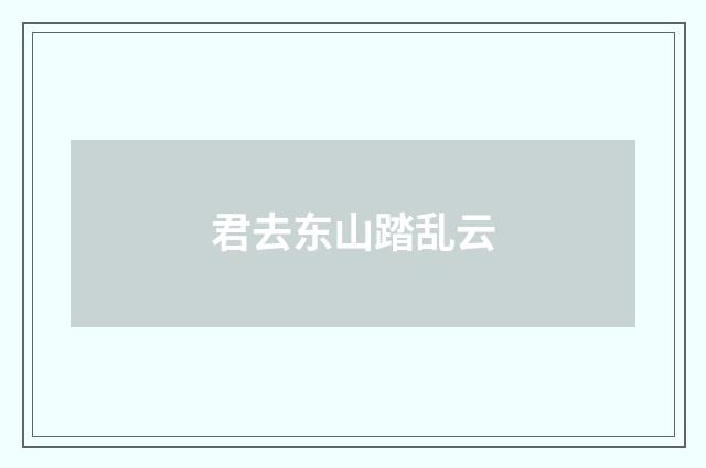 君去东山踏乱云