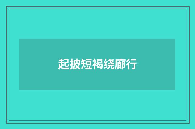 起披短褐绕廊行