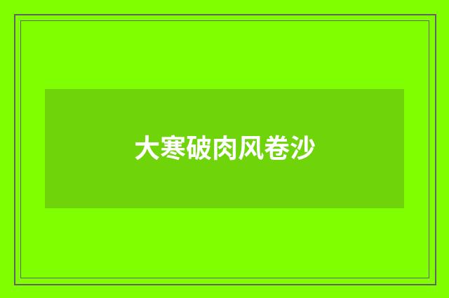 大寒破肉风卷沙