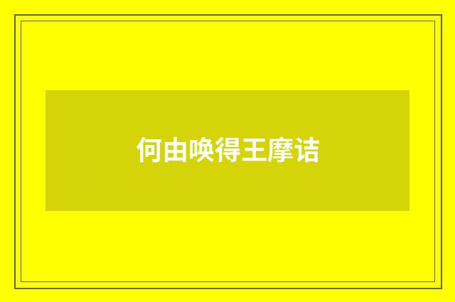 何由唤得王摩诘