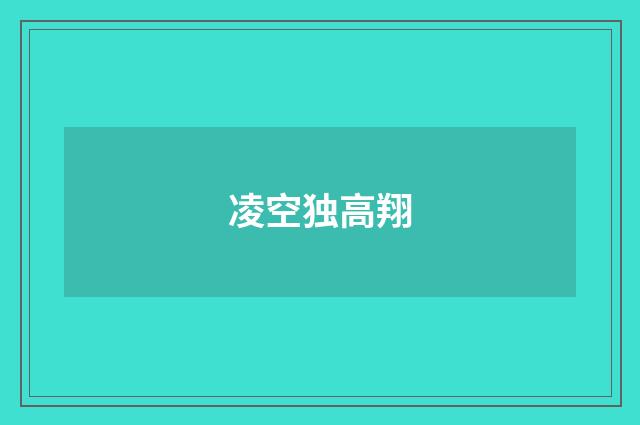 凌空独高翔