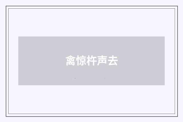 禽惊杵声去