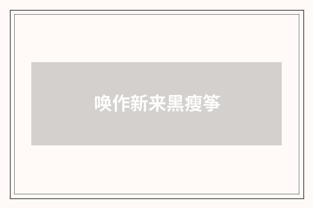 唤作新来黑瘦筝