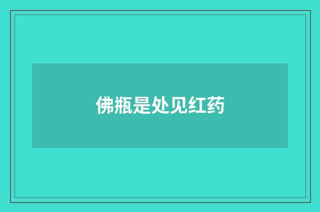 佛瓶是处见红药