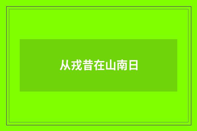 从戎昔在山南日