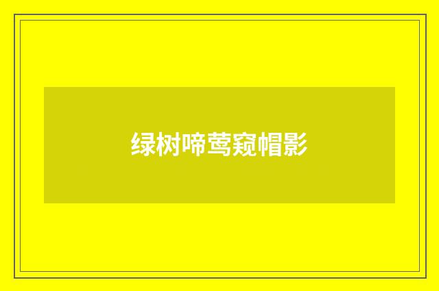 绿树啼莺窥帽影