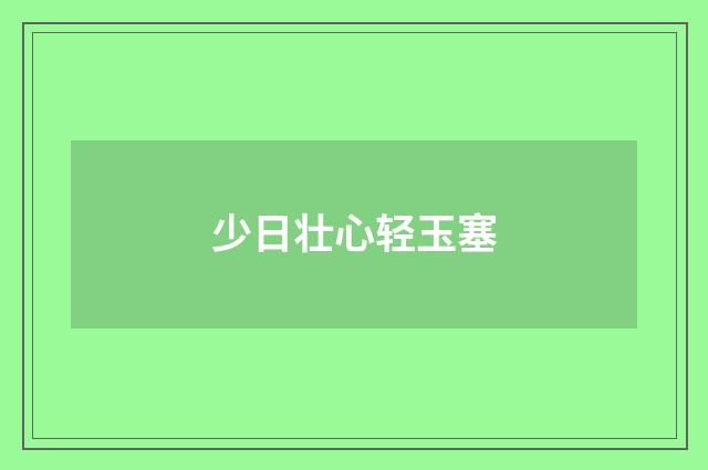 少日壮心轻玉塞