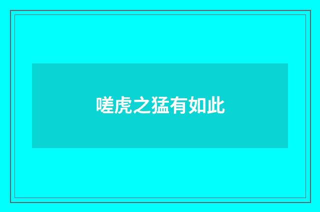 嗟虎之猛有如此