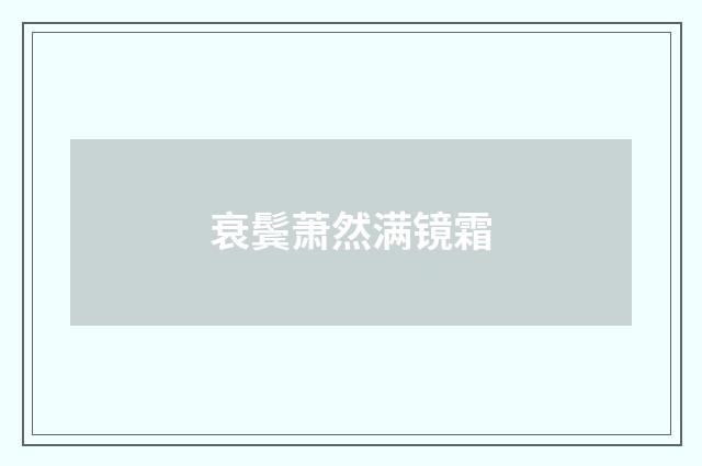 衰鬓萧然满镜霜